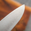 Hatsukokoro Ryuhyo SG2 Damascus Migaki Gyuto 210mm