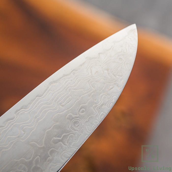 Hatsukokoro Ryuhyo SG2 Damascus Migaki Gyuto 210mm