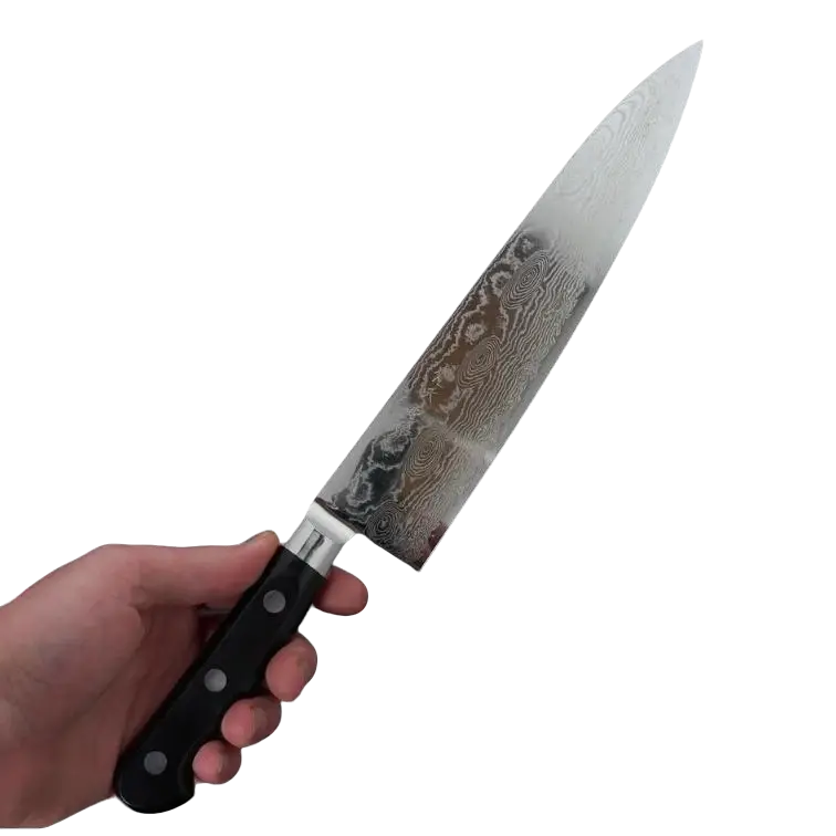 Pisau Dapur Jepang Ryusen Bonten Unryu VG10 Gyuto 210mm