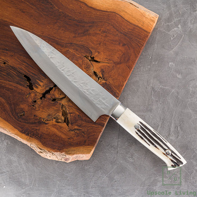 Pisau Jepang Takeshi Saji SRS13 Gyuto 180mm