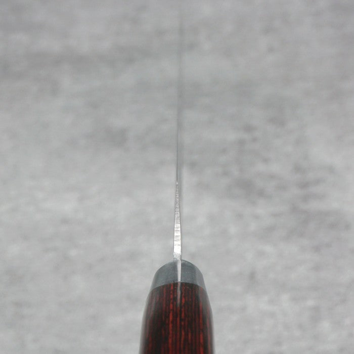 SAKAI TAKAYUKI 33-Layer Damascus Hammered Kengata 270mm