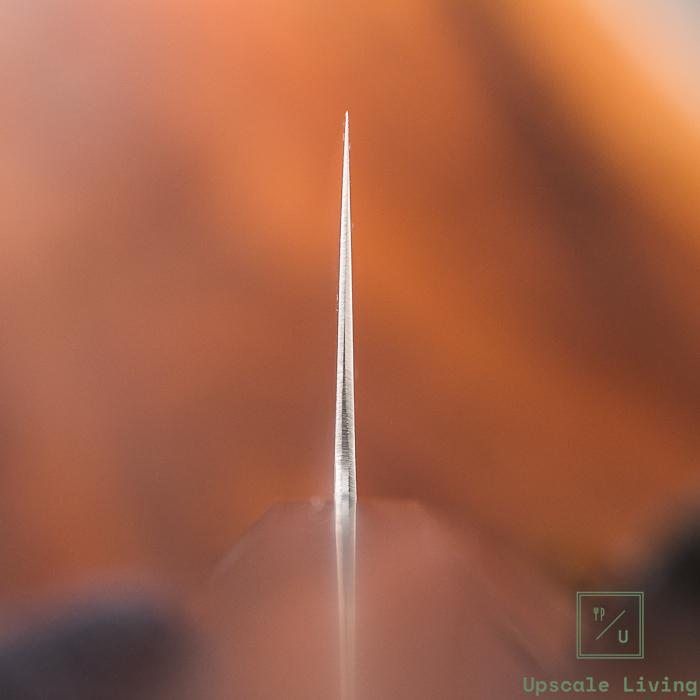 Japanese Knife Hatsukokoro Hayabusa HAP40 Migaki Gyuto 210mm