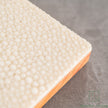 Parutan Wasabi Sakai Takayuki Oroshi Shark Skin Grater Large