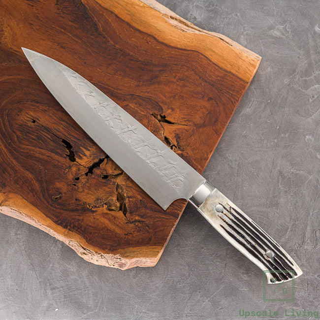 Japanese Knife Takeshi Saji SRS13 Gyuto 210mm