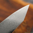 Hatsukokoro Ryuhyo SG2 Damascus Migaki Kiritsuke Gyuto 210mm