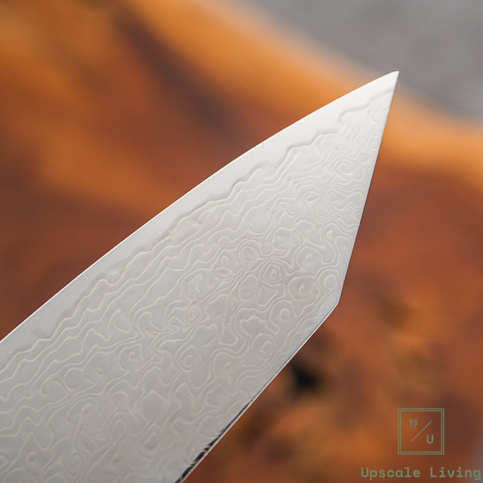 Pisau Jepang Hatsukokoro Ryuhyo SG2 Damascus Migaki Bunka 180mm