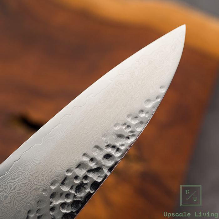 Pisau Artisan Jepang Raku Hayabusa VG10 Tsuchime Damascus Gyuto 210mm