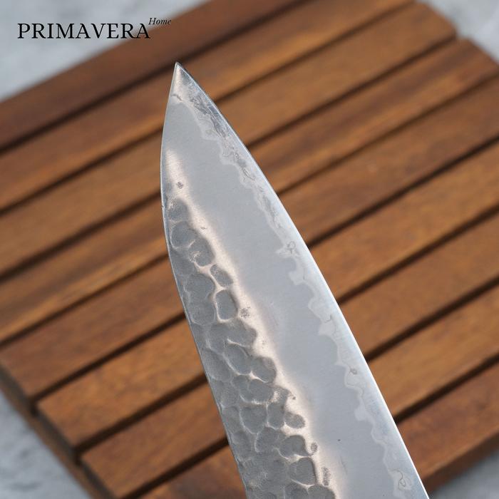 Artisan Knife Tsunehisa AS Tsuchime S/S GYUTO 240mm