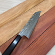 Japanese Knife Hatsukoro FAXR2 Damascus Kiritsuke 210mm