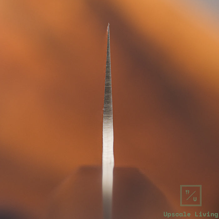 Pisau Artisan Jepang Raku Hayabusa VG10 Tsuchime Damascus Gyuto 210mm