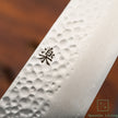 Pisau Artisan Jepang Raku Hayabusa VG10 Tsuchime Damascus Gyuto 210mm