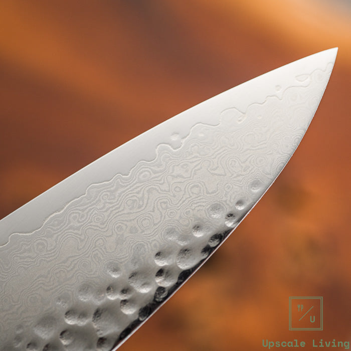 Pisau Dapur Jepang Hatsukokoro Taka VG-10 Tsuchime Damascus Gyuto 210mm