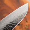 Pisau Dapur Jepang Hatsukokoro Hayabusa VG10 Damascus Tsuchime Santoku180mm