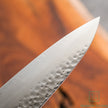 Pisau Dapur Jepang Hatsukokoro Hayabusa VG10 Tsuchime 3Layer Gyuto210mm