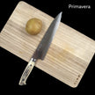 Takeshi Saji Diamond Finish R2 Gyuto 240mm Deer Horn Handle Pisau