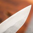 Pisau Dapur Jepang  Nigara Hamono SG Strix Damascus Tsuchime Petty 150mm