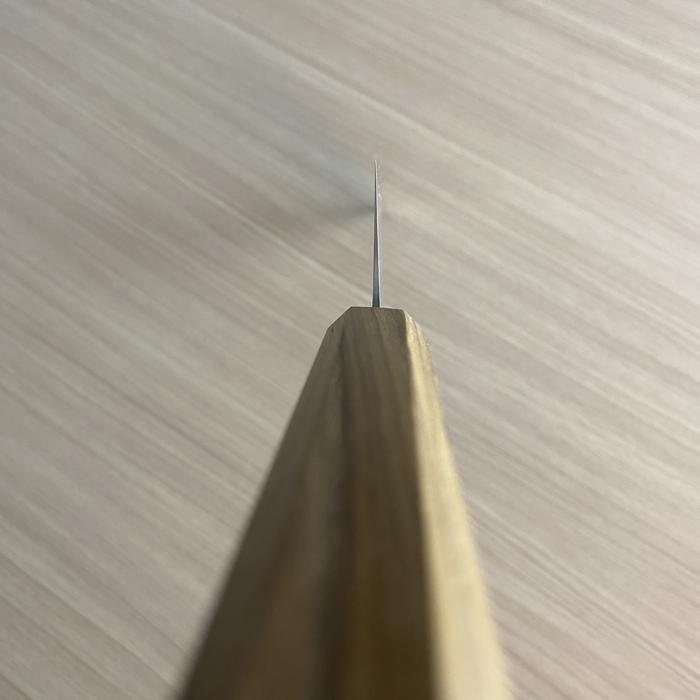 Pisau Dapur Jepang TOJIRO REPPU Kiritsuke 210mm