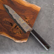 Hatsukokoro Irodori Aogami 2 steel Rainbow Damascus Kurozome Gyuto 240mm