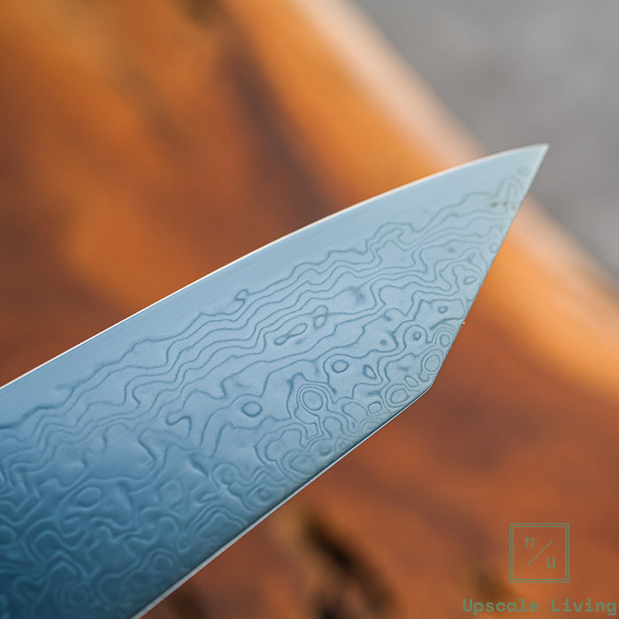 Hatsukokoro Ryuhyo Blue coating SG2 Damascus Kiritsuke Gyuto 240mm