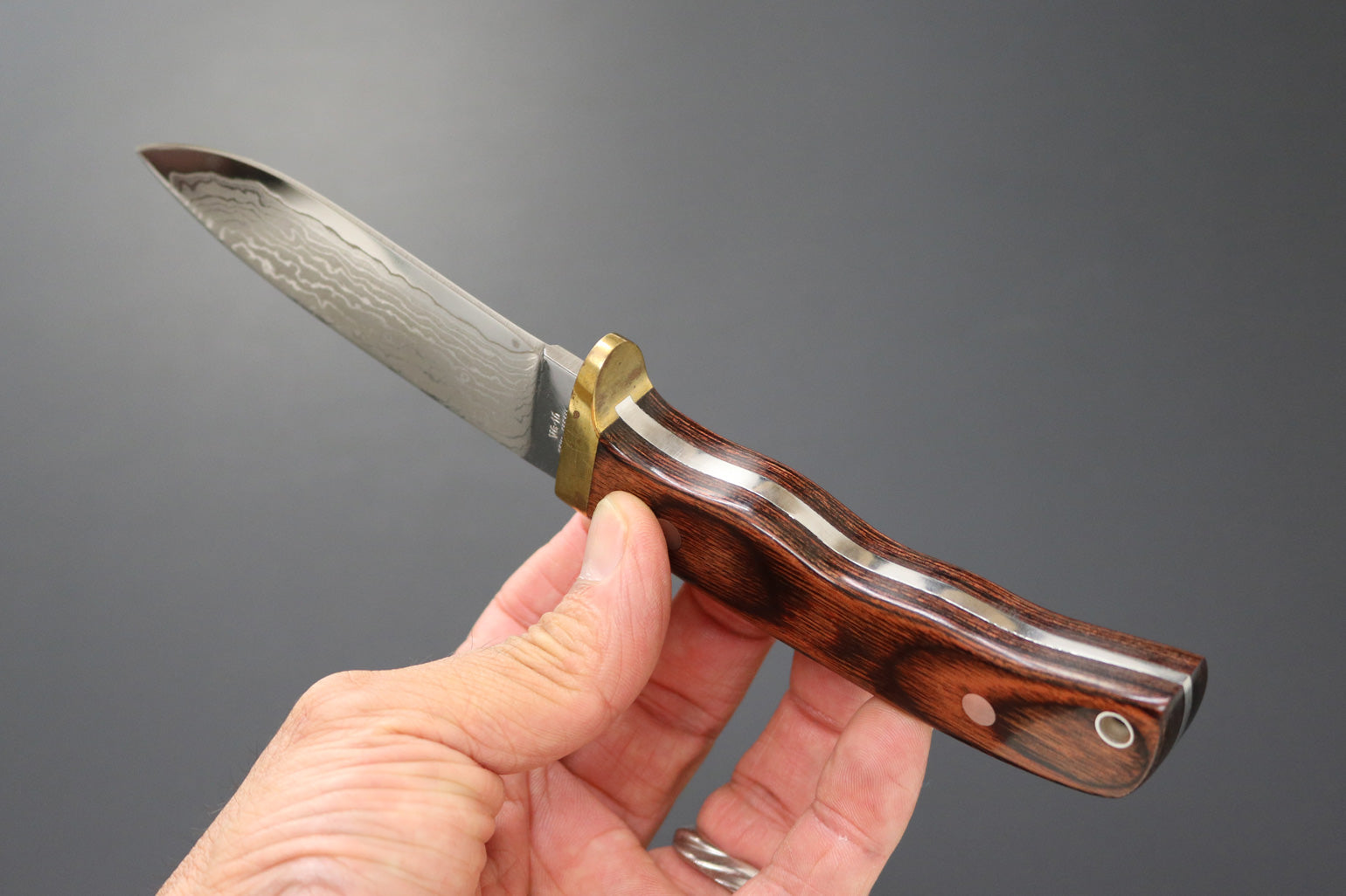 Kanetsune Seki VG10 SUBARU-Drop point Pisau Outdoor