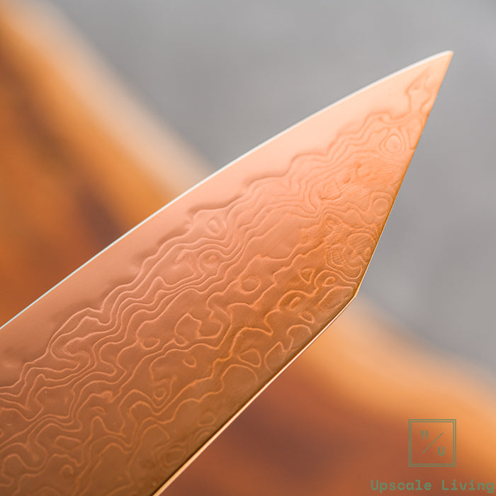 Pisau Dapur Jepang Hatsukokoro Ryuhyo Brown coating SG2 Damascus Kiritsuke Gyuto210mm