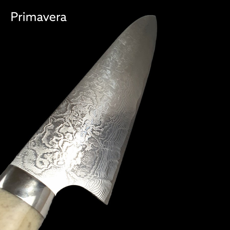 Takeshi Saji Diamond Finish R2 Gyuto 240mm Deer Horn Handle Pisau
