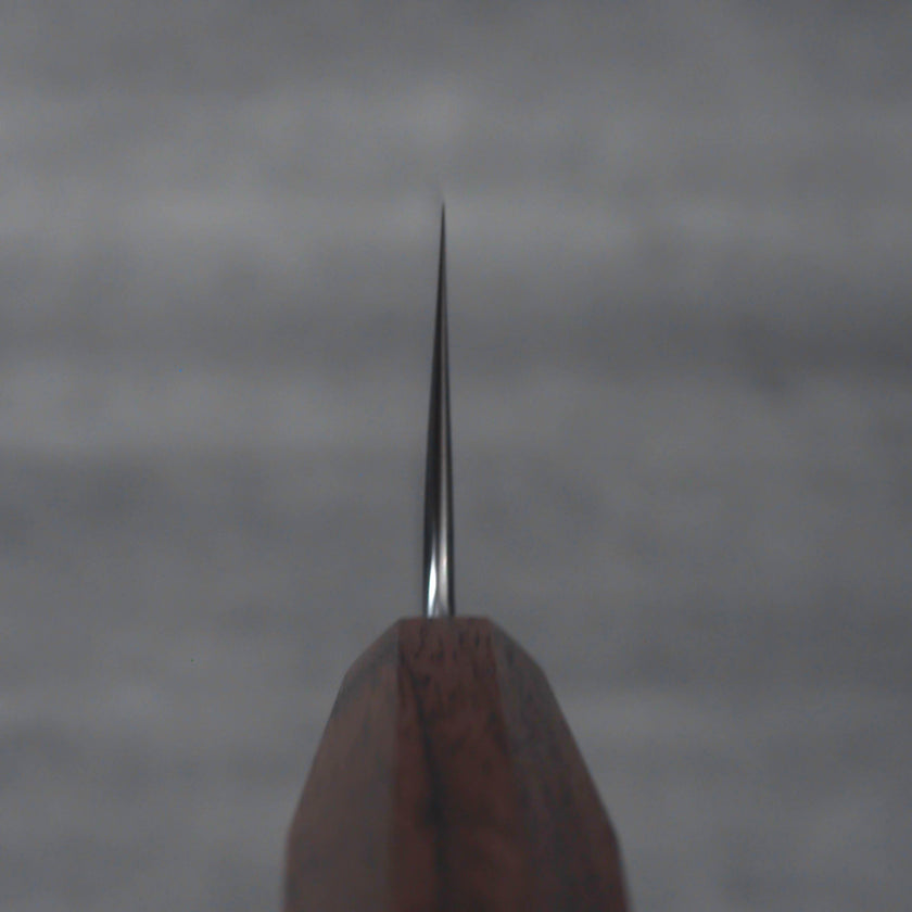 Pisau Dapur Jepang Ryusen Blazen SG2 Nashiji WA Kiritsuke Gyuto 210mm