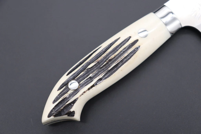 Japanese Knife Takeshi Saji SRS13 WCW Gyuto 210mm