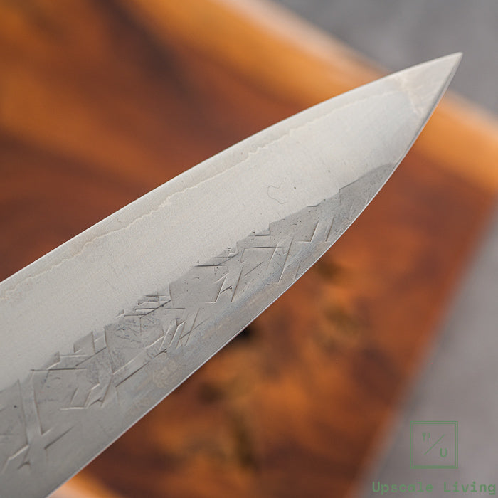 Japanese Knife Takeshi Saji SRS13 Gyuto 210mm