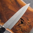 Pisau Jepang Takeshi Saji SRS13 Gyuto 180mm