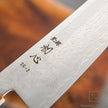 Hatsukokoro Ryuhyo SG2 Damascus Migaki Gyuto 210mm