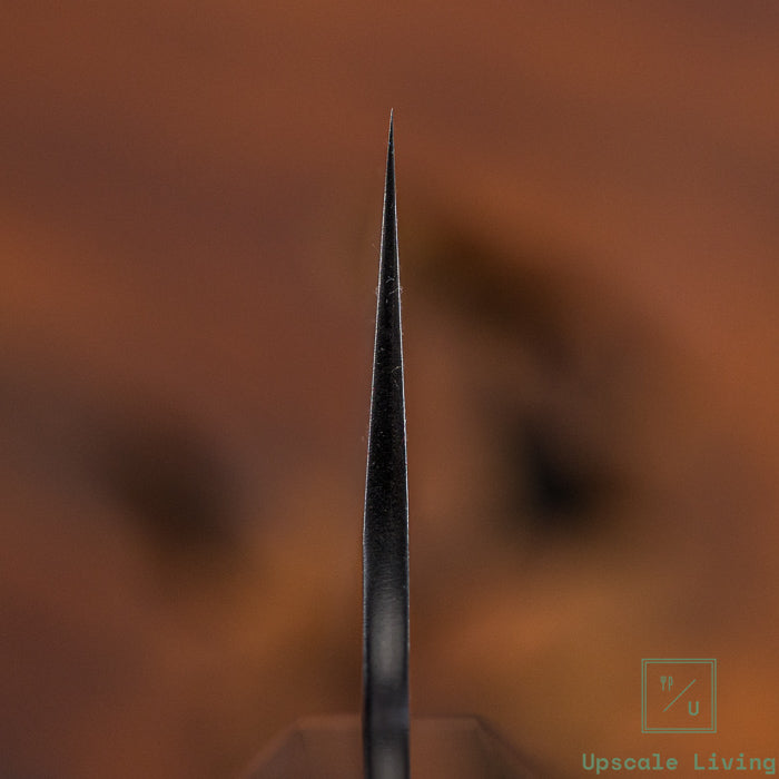 Pisau Dapur Jepang Nigara Hamono SG2 Kurouchi Kiritsuke Gyuto 210mm