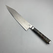 Ryusen Hamono Oukoku Ryu Poplar SG2 99 Layers Damascus Gyuto 210mm