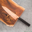 Pisau Dapur Jepang Hatsukokoro Ryuhyo Brown coating SG2 Damascus Kiritsuke Gyuto210mm
