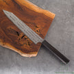 Nigara Hamono Anmon Damascus SG2 Kiritsuke Sujihiki 255mm
