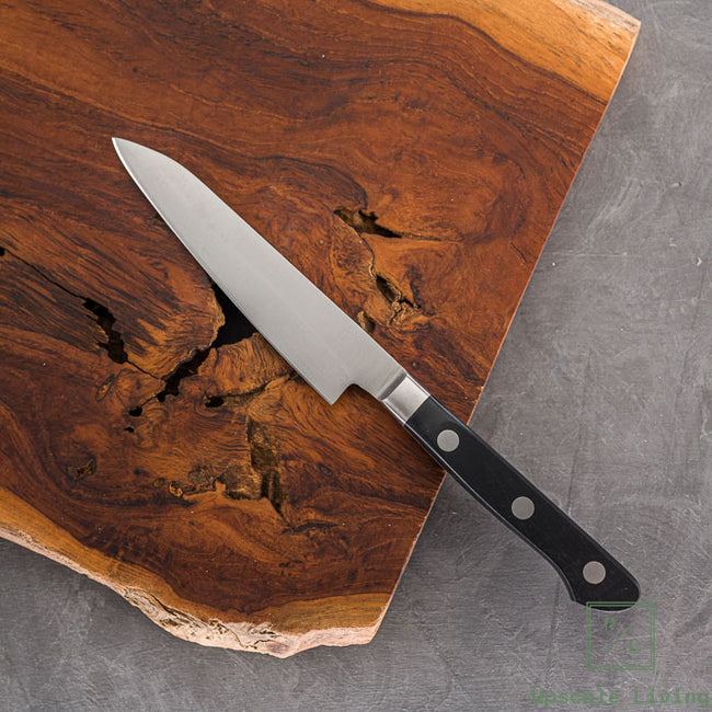 Pisau Dapur Jepang EBM  E-Pro MV Petty 120mm