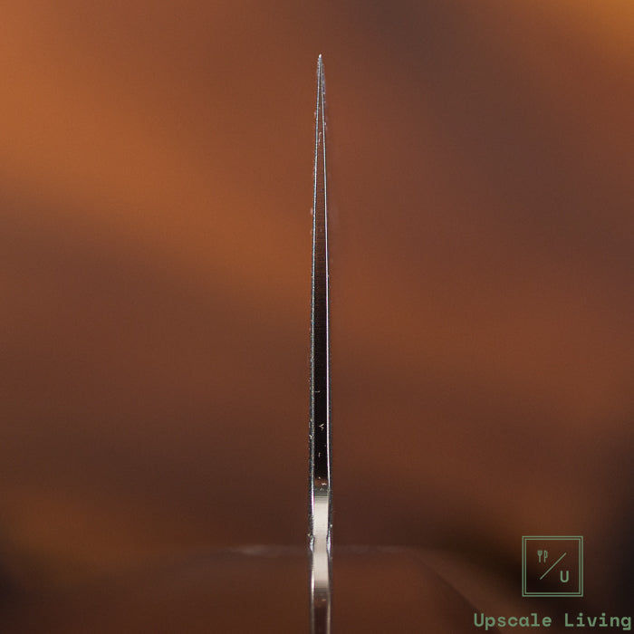 Japanese Knife SAKAI TAKAYUKI Grand Chef Hamon Bohler Gyuto 210mm