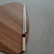 TOJIRO MV With Resin Collar Yanagi Sashimi 240mm