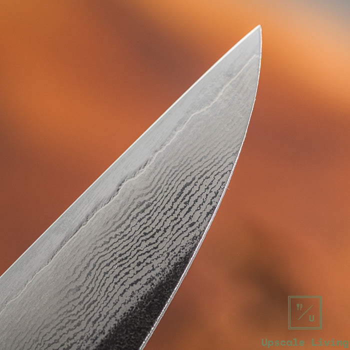 Pisau Jepang TOJIRO ATELIER CLASSIC VG10 Petty Knife 120mm
