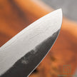 Pisau Dapur Jepang TOJIRO ATELIER CLASSIC Santoku 170mm
