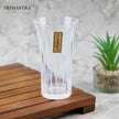 Hirota Glass Taisho Roman Shintozusa Beer Glass Made in Japan