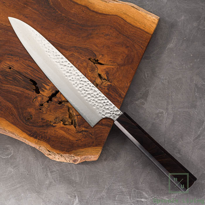 Pisau Artisan Jepang Raku Hayabusa VG10 Tsuchime Damascus Gyuto 210mm