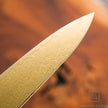 Pisau Dapur Jepang Hatsukokoro Ryuhyo  Gold coating  SG2 Damascus Petty150mm