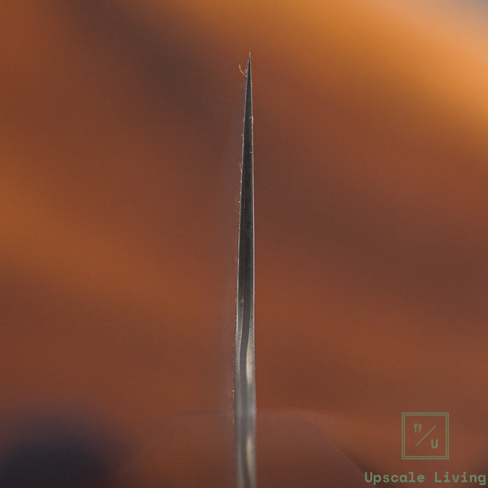 Nigara Hamono SG2 Anmon Damascus Gyuto 210mm