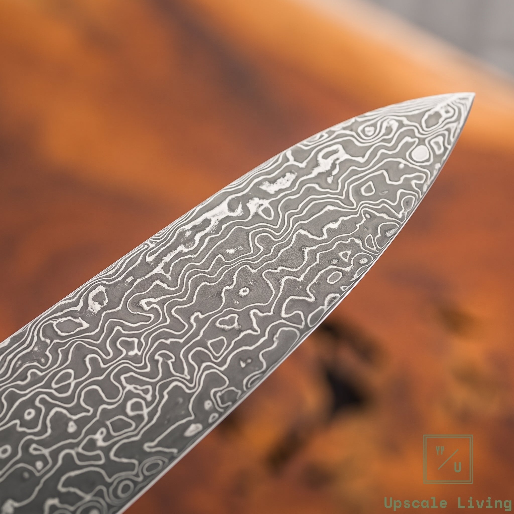Pisau Dapur Jepang Hatsukokoro Ryuhyo Kurozome SG2 Damascus Gyuto 240mm