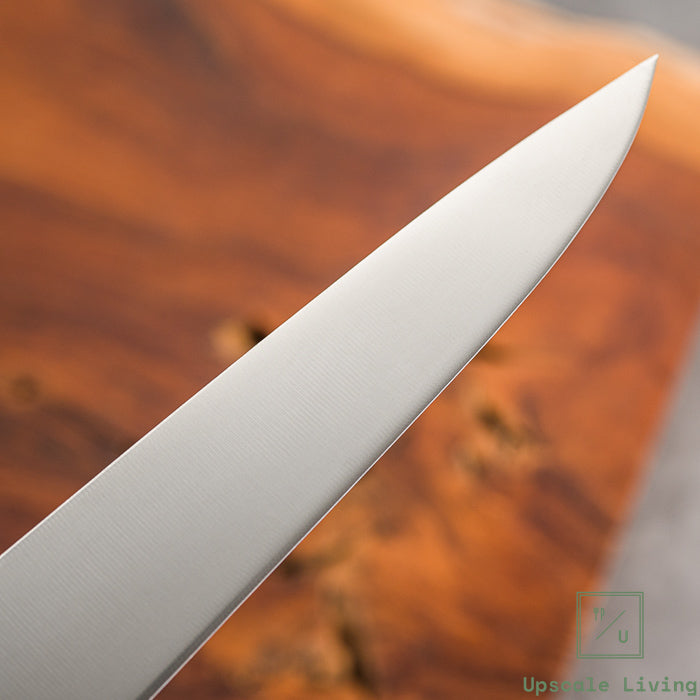 Pisau Dapur Jepang Masahiro MV Sujihiki Knife 270mm