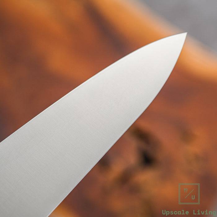 Pisau Dapur Jepang EBM E-Pro MV Gyuto 180mm