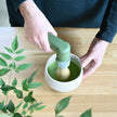 Electric Matcha Whisk Charaku