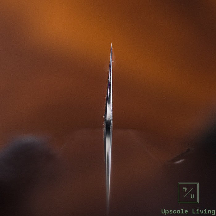 Japanese Knife Tetsujin Hamono Aogami#2 Kiritsuke Sujihiki 210mm