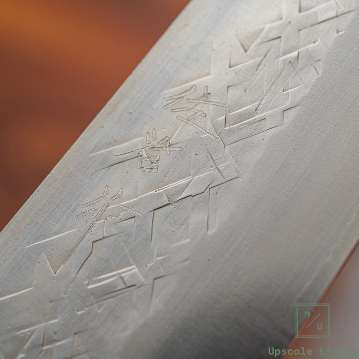 Japanese Knife Takeshi Saji SRS13 Gyuto 210mm
